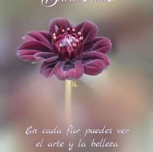 Meet your Posher, Esther